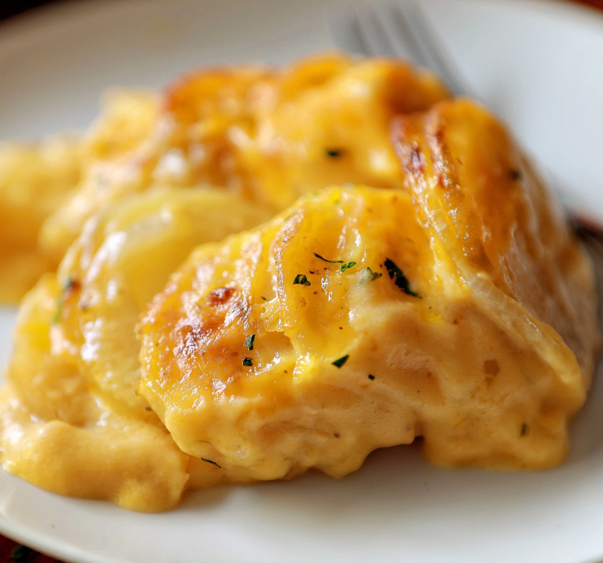 cheesy-scalloped-potatoes-dessert-healthy-life